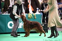 Crufts2011 409